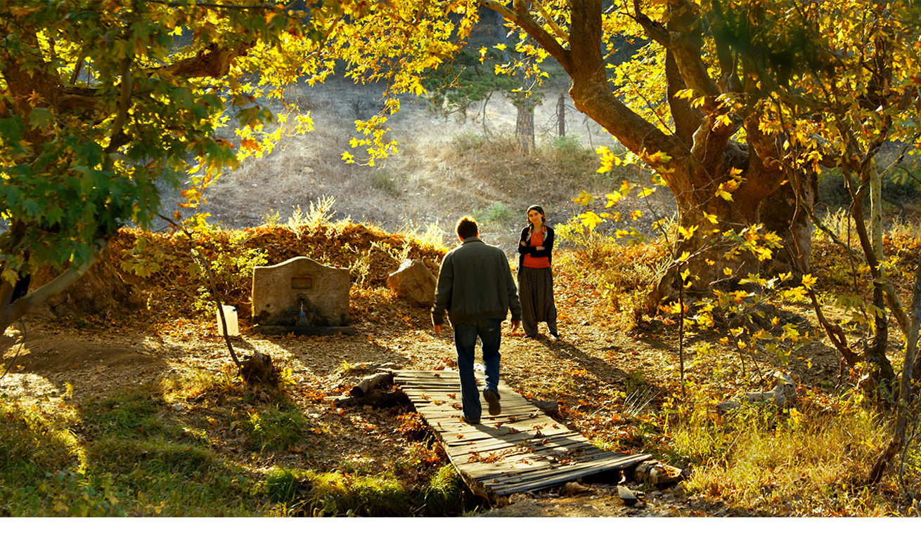 L'albero dei frutti selvatici